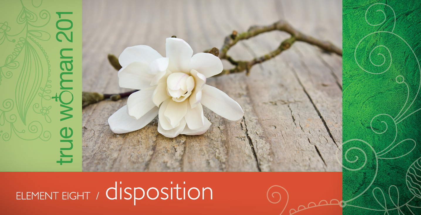 What Does It Mean to Be Amenable? Programs Revive Our Hearts